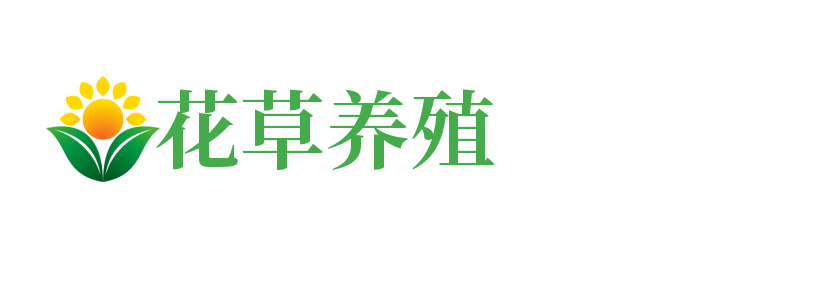 天柱县乡驿非遗糖画有限公司